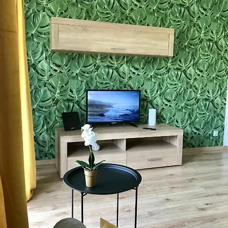 Apartament Bartaska 公寓 *
