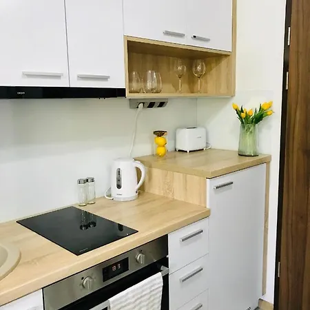 公寓 Apartament Bartaska *